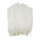 thumbnail image 5 of 50 piezas de plumas de ganso natural decoración 12-20cm DIY Jewelry Making White, 5 of 5