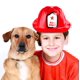 thumbnail image 5 of Party Supplies Super Z Outlet - Casco de bombero para niños (12 unidades), 5 of 6