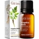 thumbnail image 1 of Aceite Esencial de Raíz de Angélica Gya Labs 10 ml, 1 of 6