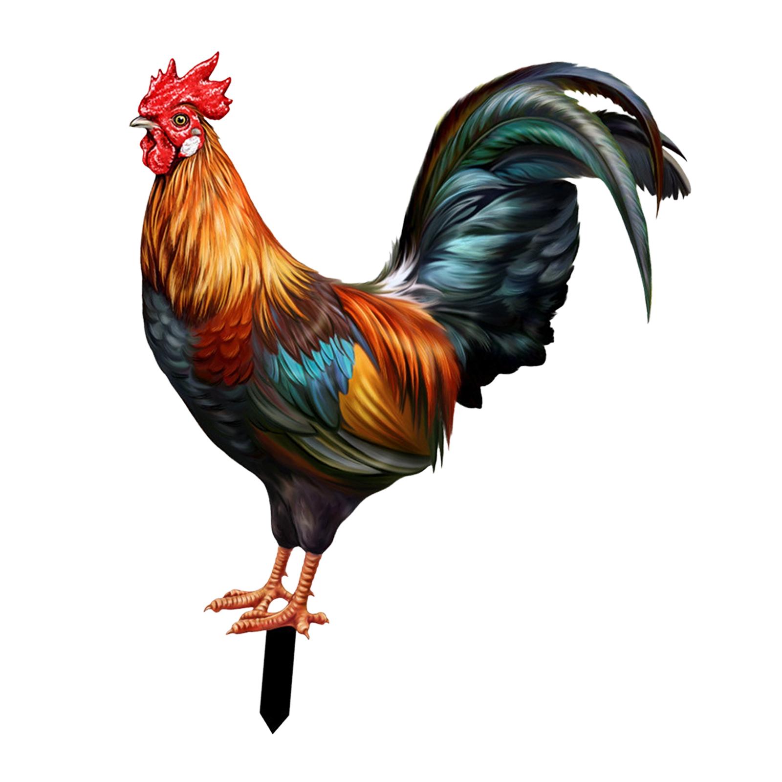 Ioensy - Estacas De Estatua De Animales De Gallo, Escultura De Pollo De Gallina Para El Camino Del Patio Trasero De La Granja