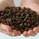 thumbnail image 2 of Grano Gran Gusto, 2 of 3