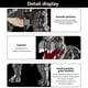 thumbnail image 5 of Juguete de bloques de construcción Tyrannosaurus Rex de Myth Qholve, 5 of 7
