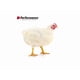 thumbnail image 2 of Alimento Pellet Pollos Broiler Inicial P3 Champion-Performance 25 kg, 2 of 2