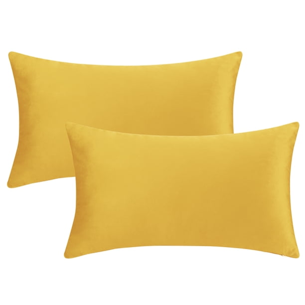 REGALWOVEN Paquete de 2 Fundas de Cojín Decorativas de Terciopelo Fundas de Cojín Modernas con Cremallera Amarillo 12" x 20"