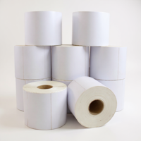 Bloccare - Etiqueta Térmica 100X150 Mm - 10 Rollos (5000 Unidades)