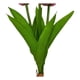 thumbnail image 4 of Ramo tulipan artificial, 4 of 4
