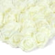 thumbnail image 1 of Cabezales de espuma de 7,6 cm con rosas artificiales, color marfil, 100 unidades, 1 of 9
