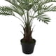 thumbnail image 2 of Planta Decorativa Palma Phoenix 90 Cms., 2 of 4