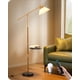 thumbnail image 1 of Lámpara de pie EDISHINE de 172 cm con brazo ajustable, control remoto, 110 V, 1 of 3