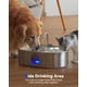 thumbnail image 4 of Fuente de agua para perros ECOCONUT 13L de acero inoxidable para perros grandes, 4 of 9