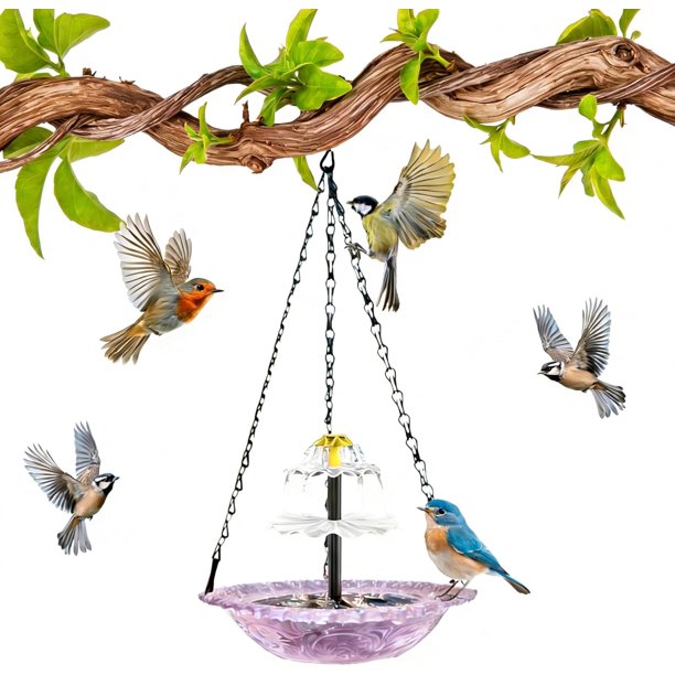 Baño pájaros solar colgante cuenco vidrio exterior fuente agua aves silvestres