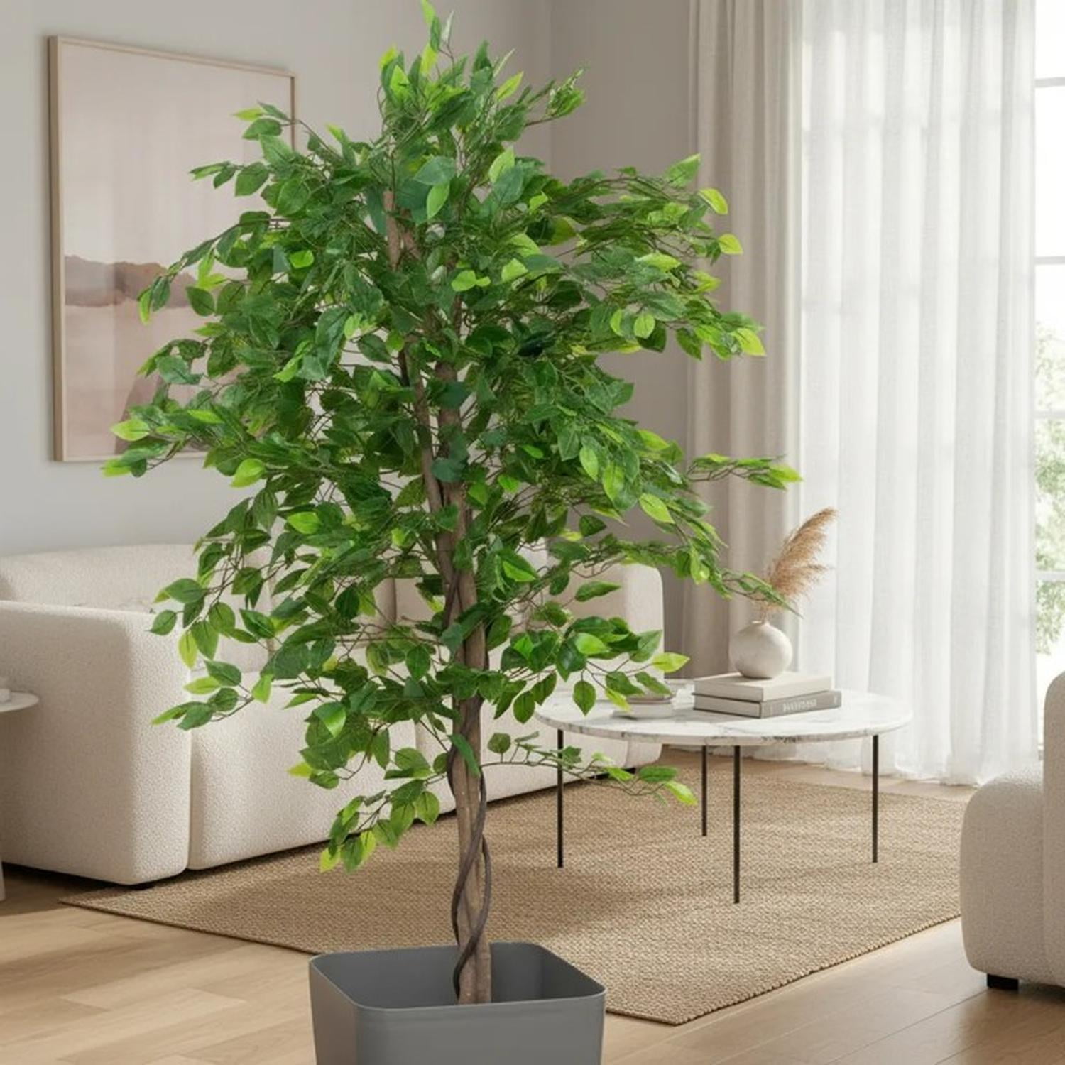 Arbusto Real - Planta Artificial Decorativa Arbol Grande Ficus 160cm 1008h