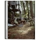 thumbnail image 2 of 40 - Star Wars, Los Archivos De. 1977-1983, 2 of 5