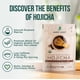 thumbnail image 3 of Hojicha en polvo, hojas de jade, matcha orgánico japonés, 50 g, 3 of 7