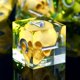 thumbnail image 1 of Set de Dados Froggod 7 Piezas Transparente con Calavera y Musgo en Resina, 1 of 7