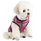 thumbnail image 1 of Traje De Recuperación Posquirúrgica Para Perro Rosa A Cuadros Talla Mediana, 1 of 5
