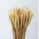 thumbnail image 2 of Tallos de Trigo Seco Artificial Set de 4 Jhn, 2 of 3