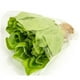 thumbnail image 1 of Lechuga Española Hidropónica Bolsa, 1 Un, 1 of 2