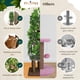 thumbnail image 5 of Árbol para gatos PRIORPET con hojas, 63 cm de altura, 4 niveles para rascar, 5 of 9