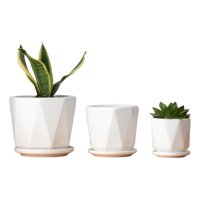 Genérico - Macetas Blancas Agujeros Drenaje 3 Piezas Jhn