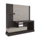 thumbnail image 1 of Estante Tv 55" Alcaceres 1 Puerta 180X172.2X41.5 Cm Nogal - Miel, 1 of 9