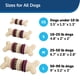 thumbnail image 5 of Juguete para perros PetSafe Busy Buddy Bristle Bone, 5 of 6