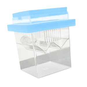 Ioensy - Hotadora De Caja De Aislamiento De Reproducción De Peces Flotantes Para Pescado Bebé De Camarones, Huevo De Pescado Azul