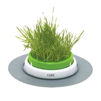Kit Germinador De Pasto Catit Cat Grass