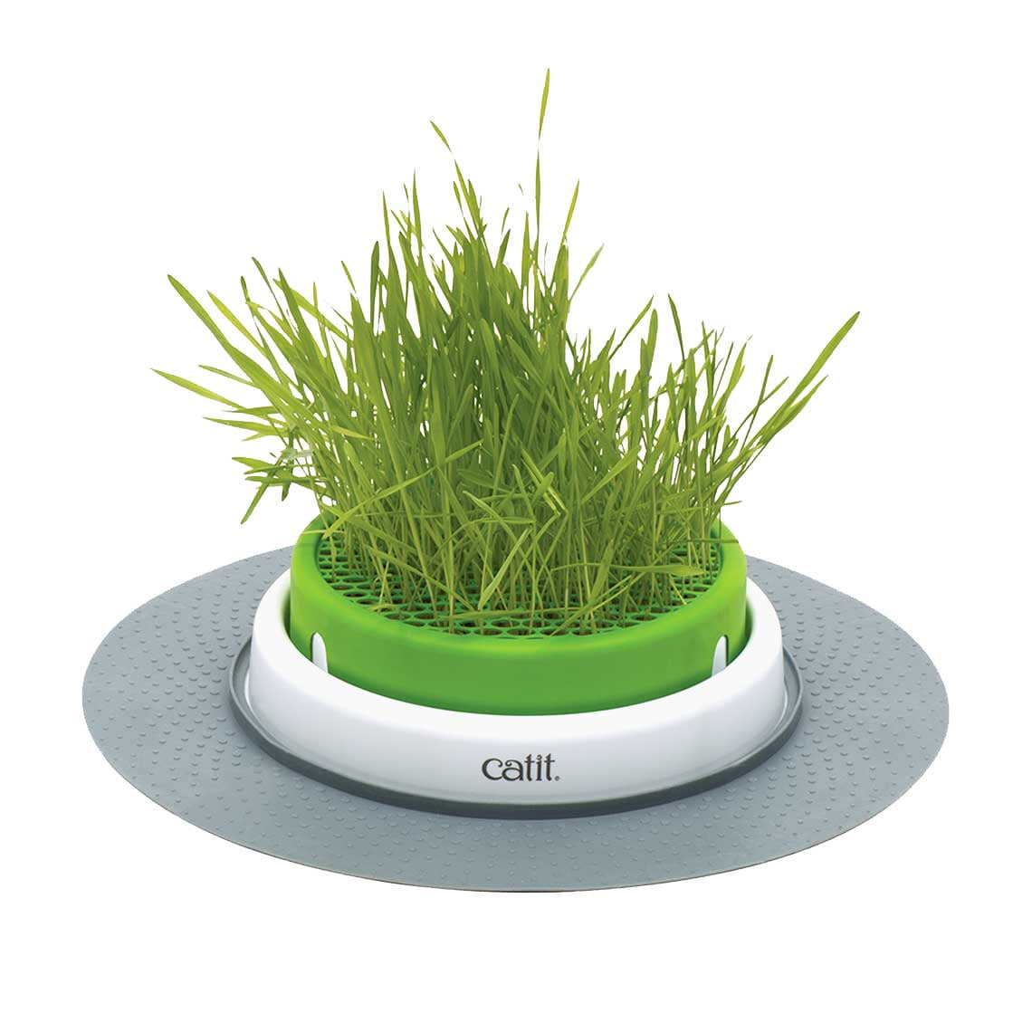 Kit Germinador De Pasto Catit Cat Grass