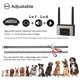 thumbnail image 5 of Cerca inalámbrica para perros FOCUSER 300 m impermeable – para 2 perros, 5 of 7