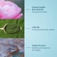 thumbnail image 3 of Crema ELEMIS Pro-Collagen Rose Marine Hidratante Antiarrugas, 3 of 5