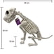 thumbnail image 5 of Perro esqueleto deco 38cm, 5 of 5