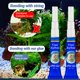 thumbnail image 3 of Pegamento para Acuario 1DFAUL - 2 piezas - Seguridad para Peces de Arrecife de Coral, 3 of 6
