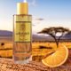 thumbnail image 2 of Colonia Diane Castel Gold Lion para Hombre 100 ml, 2 of 4