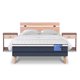 thumbnail image 1 of Cama Europea Excellence Plus 2 Plazas Bn Set Olmo + Alm + Pl, 1 of 8