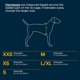thumbnail image 2 of Arnés de pecho Ruffwear Front Range para perro, 2 of 3