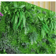 thumbnail image 3 of Helecho colgante artificial vara frondosa, 3 of 3