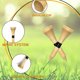 thumbnail image 5 of Tees de Golf Zivisk 38 mm Natural - 100 unidades, 5 of 5