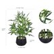 thumbnail image 3 of Planta de bambú artificial 365 Blooming Decor, 45 cm, con maceta negra, 3 of 7