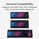 thumbnail image 4 of TECLA GLORIOUS GPBT Afterparty Gradient, 4 of 5