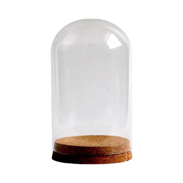 Cubierta de cristal de flores preservadas, vitrina de cristal con cúpula, elegante cubierta de cúpula de cristal para dormitorio, decoración navideña 10cmx16cm