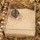 thumbnail image 4 of Arena de baño BUCATSTATE BUCATSTATE para mascotas hámster de 2,5 kg (fina), 4 of 6