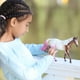 thumbnail image 3 of Caballo de Juguete Breyer Horses Freedom Series Neopolitan a escala 1:12, 3 of 3