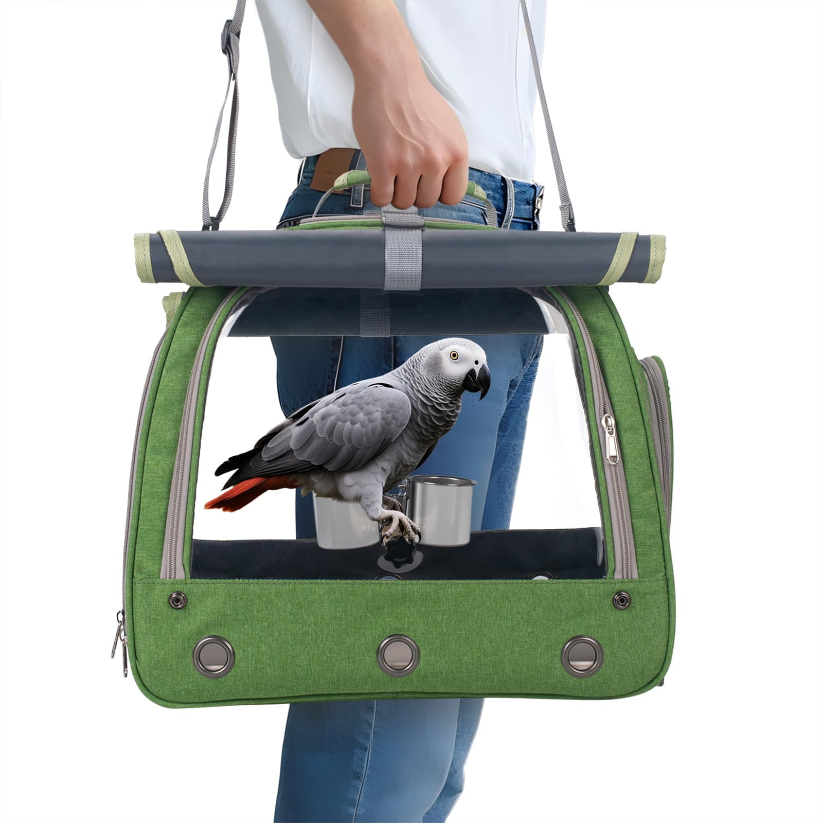 Transportadora para Aves KREACHUR - Jaula de Viaje Verde con Percha