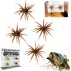 thumbnail image 1 of Señuelo criatura tentáculo delicadeza realista hundimiento lento plástico blando pesca lubina, 1 of 8
