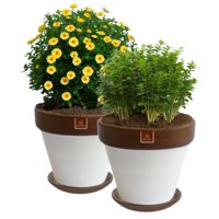 Mestiza - Set De 2 Maceta Kony 30Cm Morena Blanca Y Sus Platos