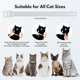 thumbnail image 5 of Collares antipulgas y garrapatas Allyeah para gatos, 4 unidades, impermeables, 5 of 7