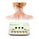 thumbnail image 2 of Gimnasia Pasiva Profesional estimulador 12 Electrodos MX67, 2 of 5
