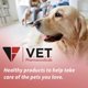 thumbnail image 2 of Tabletas de DL Metionina V.E.T. PHARMACEUTICALS 500 mg 150 tabletas, 2 of 2