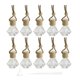 thumbnail image 1 of Botellas de perfume de vidrio con difusor colgante para coche, 10 unidades, 6 ml, 1 of 8